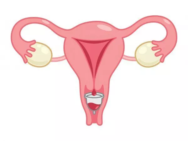 Cinco datos curiosos sobre las copas menstruales