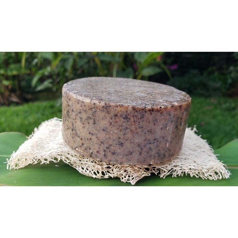 El Sapo Eco Dishwashing Soap in Coconut or Eco Bars | Buy Plastic-Free