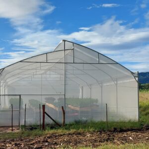 invernadero organico en guanacaste costa rica