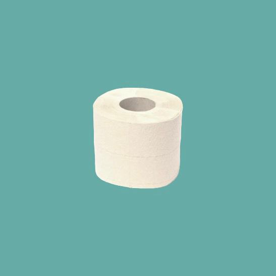 papier toilette BIO lavable, réutilisable en lot de 5 feuilles coton  biologique doublé éponge bambou motif coeurs *livraison offerte* -  Fait2mains