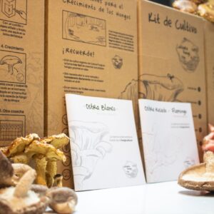 Cultivo de Hongos en Casa.
