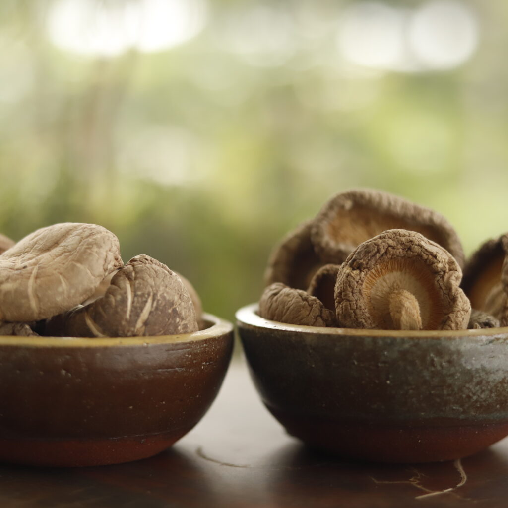 Shiitake Deshidratado